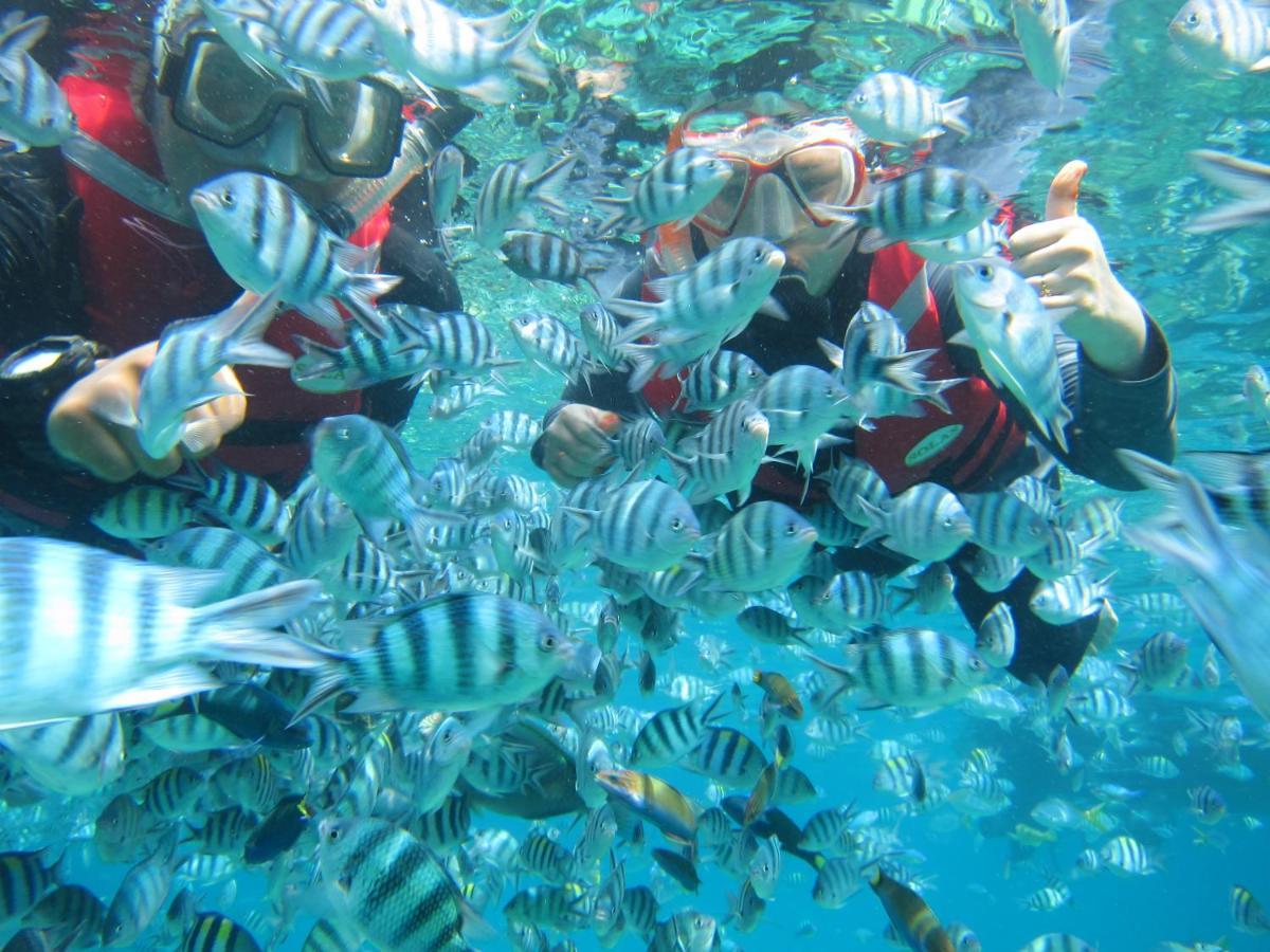 Hotel Go Deeper Tioman Exterior foto